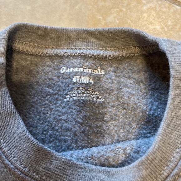 Bundle of 2 Sweatshirts - Size 4T - Picture 6 of 7